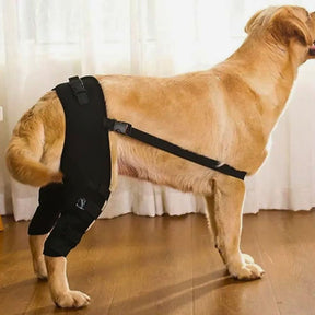 Joelheira Dupla para Patas Traseiras