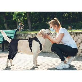 Joelheira Ortopédica para Cães Com Peitoral – Suporte para Joelho e Recuperação velú pet