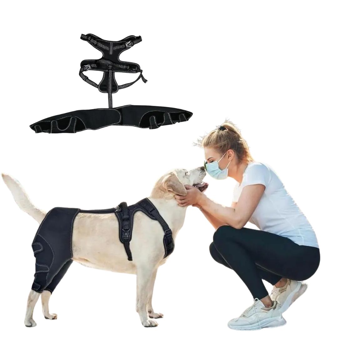 Joelheira Ortopédica para Cães Com Peitoral – Suporte para Joelho e Recuperação velú pet