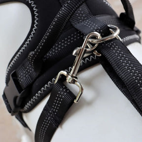 Joelheira Ortopédica para Cães Com Peitoral – Suporte para Joelho e Recuperação velú pet