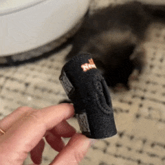 Joelheira Ortopédica para Cães – Suporte e Recuperação Articular