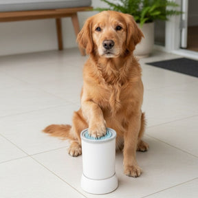 Limpador Automático de Patas – Praticidade para sua casa - USB, Portátil