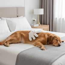 Luva Calmante com Controle Remoto| Simula Carinhos com Movimento Suave