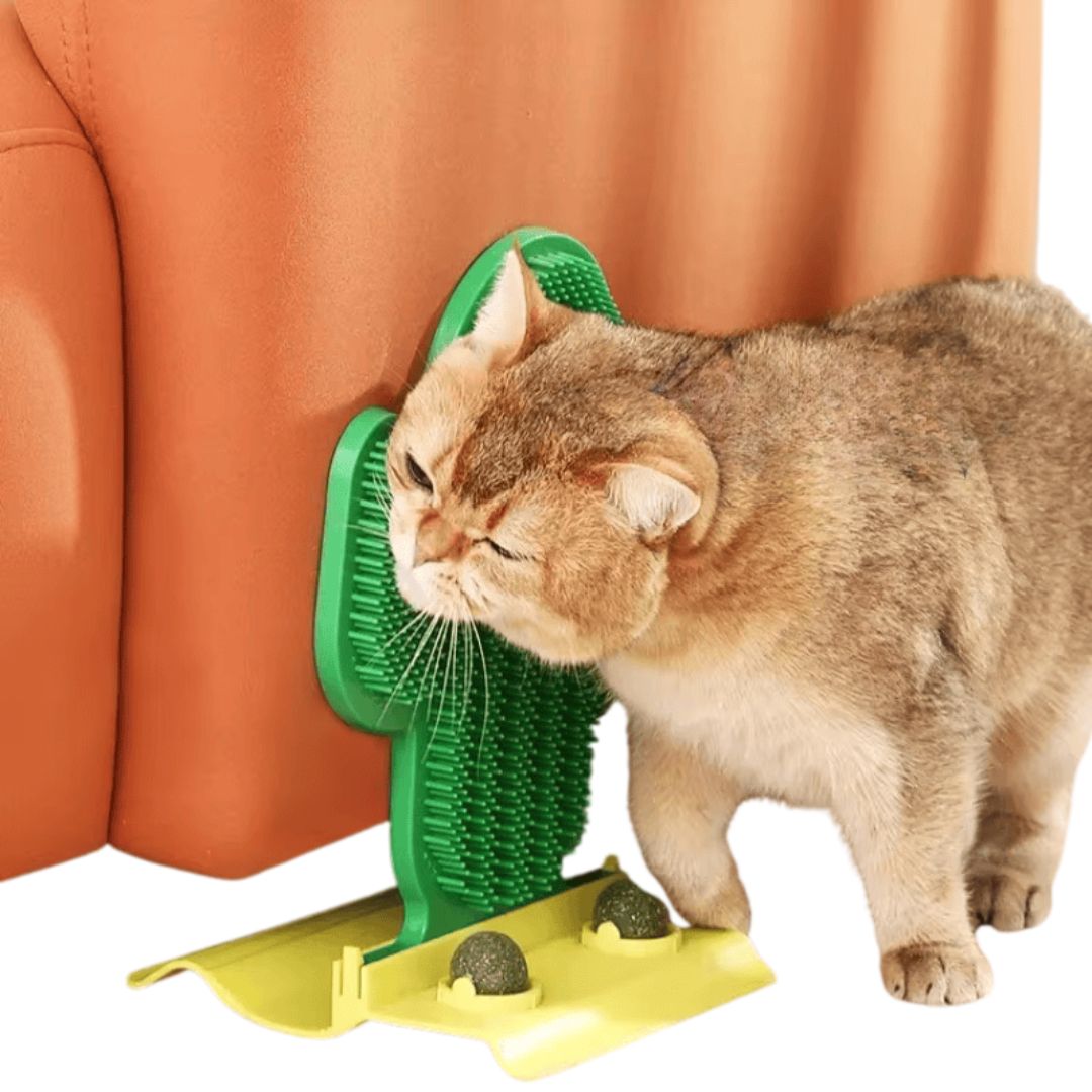 Massageador de Canto Cacto Felino com Catnip: O Brinquedo Perfeito para Gatos que Promove Relaxamento e Diversão