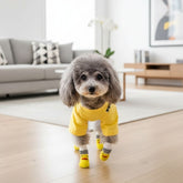 Meias antiderrapantes Velú Pet, patinhas do pet com as meias em piso liso