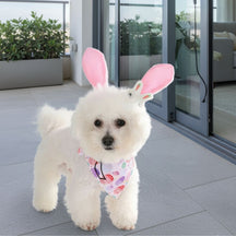 Orelha de Coelho e Bandana de Páscoa para Cães e Gatos