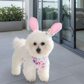 Orelha de Coelho e Bandana de Páscoa para Cães e Gatos
