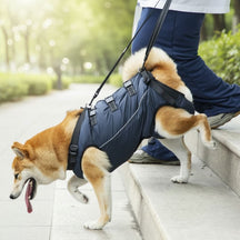 Peitoral de Suporte Ortopédico para Cães e Gatos com Mobilidade Reduzida