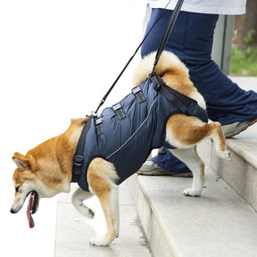 Peitoral de Suporte Ortopédico para Cães e Gatos com Mobilidade Reduzida