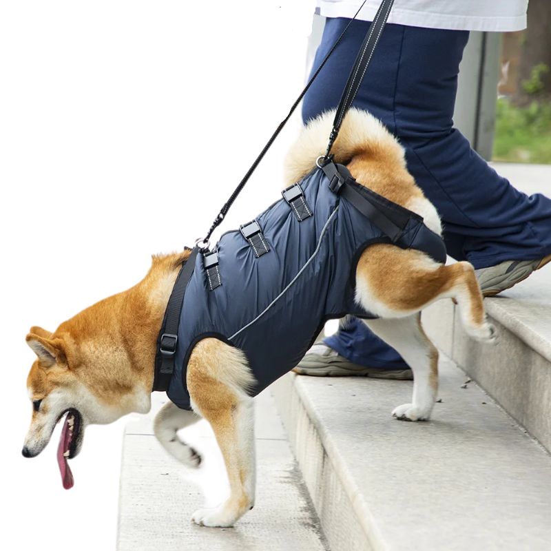 Peitoral de Suporte Ortopédico para Cães e Gatos com Mobilidade Reduzida