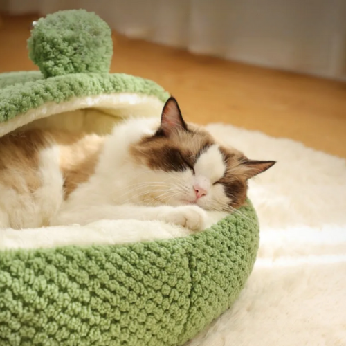 Cama Sapinho Iglu para Pets - Alojamento Confortável para Cães e Gatos com Design Divertido