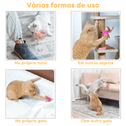 Brinquedo Interativo Coleira Pega-Pena para Gatos –  Estimula o Instinto de Caça e Diversão para Felinos