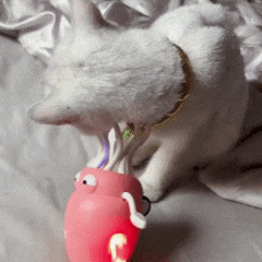 Polvinho Dançarino Interativo para Pets – Brinquedo com Luzes, Música e Movimento Automático