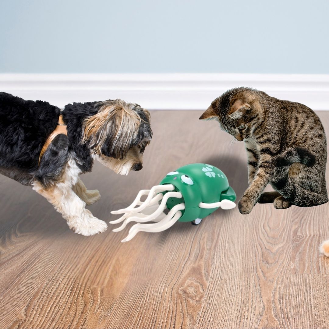 Polvinho Dançarino Interativo para Pets – Brinquedo com Luzes, Música e Movimento Automático
