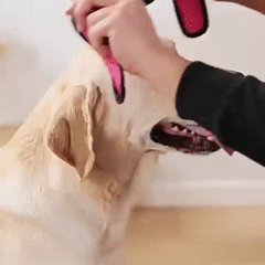 Protetor de Ouvido Anti-Ruído para Cães e Gatos | Reduz Ruídos Altos