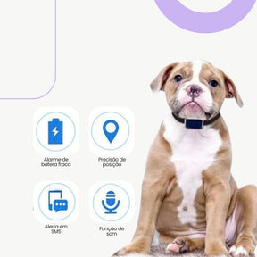 Rastreador GPS Mini à Prova d’Água para Pets