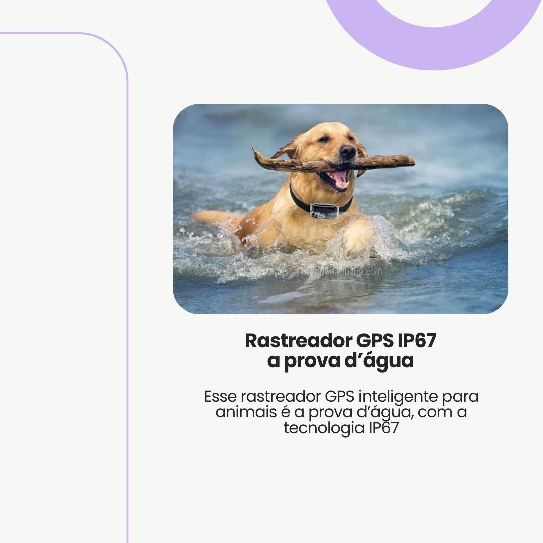 Rastreador GPS Mini à Prova d’Água para Pets