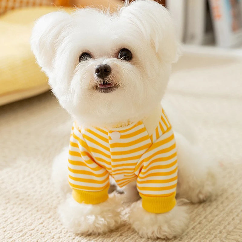 Camisa Listrada Divertida para Pets - Roupa Confortável que Protege e Estiliza Seu Pet