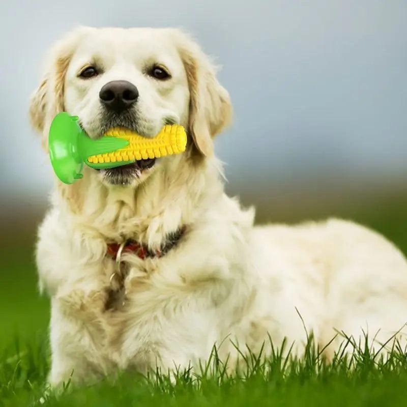 
Brinquedo Mordedor em Forma de Milho Verde para Cachorros: Promove Diversão e Saúde Bucal
