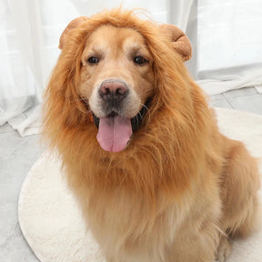 Fantasia de Juba de Leão para Cães e Gatos | Ideal para Pets de Médio e Grande Porte | Perfeita para Sessões de Fotos e Festas Temáticas | Ajustável e Confortável para Uso Prolongado