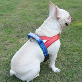 Coleira Peitoral Estilo Sela para Cães Pequenos, Médios e Grandes | Ideal para Caminhadas Seguras ao Ar Livre | Distribui a Pressão Sem Machucar | Ajustável e Confortável