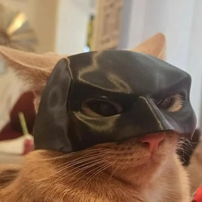 Máscara Batman Para Gatos