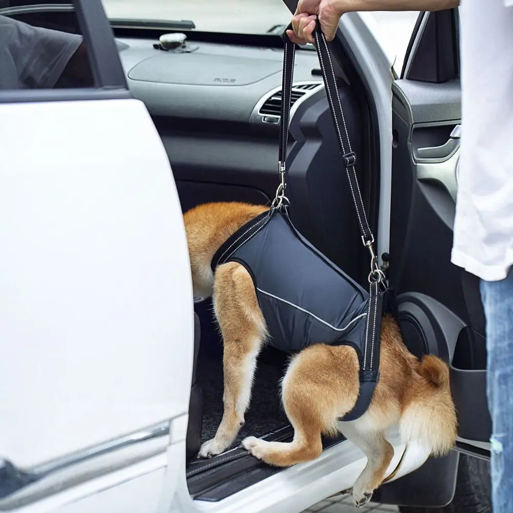 Peitoral de Suporte Ortopédico para Cães e Gatos com Mobilidade Reduzida