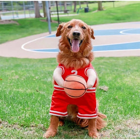 Fantasia Uniforme de Basquete para Cães e Gatos | Para Pets de Todos os Tamanhos | Ideal para Festas e Sessões de Fotos Divertidas | Design Temático, Leve e Confortável