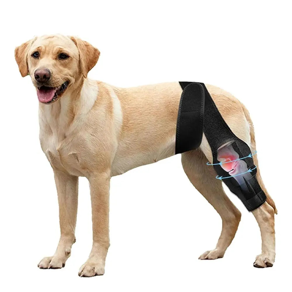 Joelheira Ajustável para Cães e Gatos