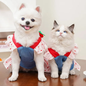 Coleira Peitoral com Saia Estilo Vestido para Cães e Gatos Pequenos | Ideal para Passeios ao Ar Livre com Segurança e Estilo | Com Estampa de Coração e Acompanha Guia