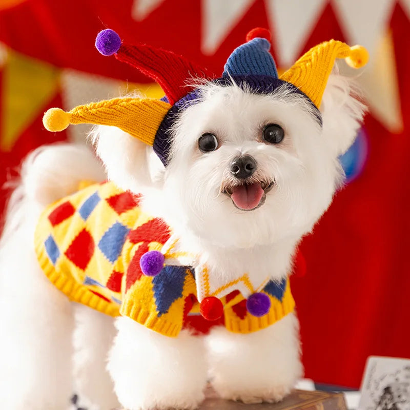 Fantasia de Bobo da Corte Para Cães e Gatos
