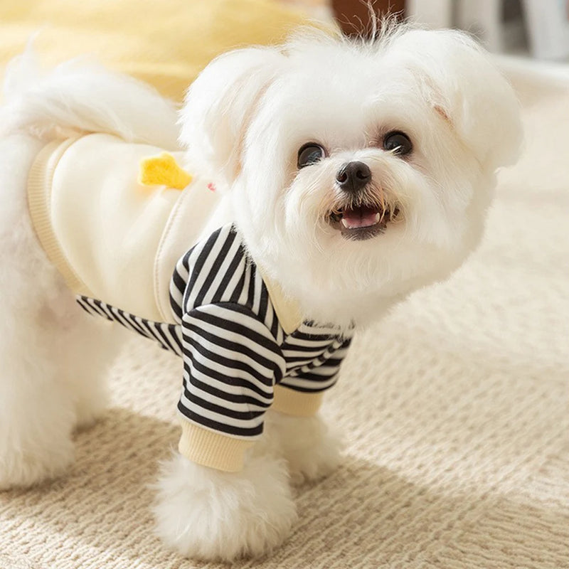 Camisa Listrada Divertida para Pets - Roupa Confortável que Protege e Estiliza Seu Pet