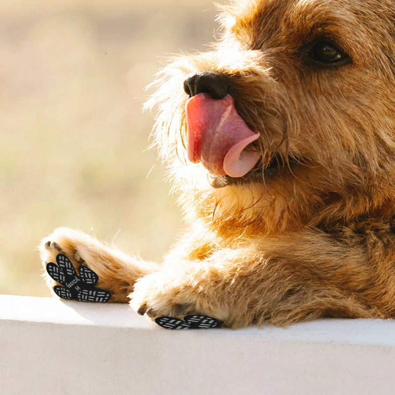 Protetor Antiderrapante para Patas de Pets: Conforto e Segurança para Cães em Ambientes Escorregadios