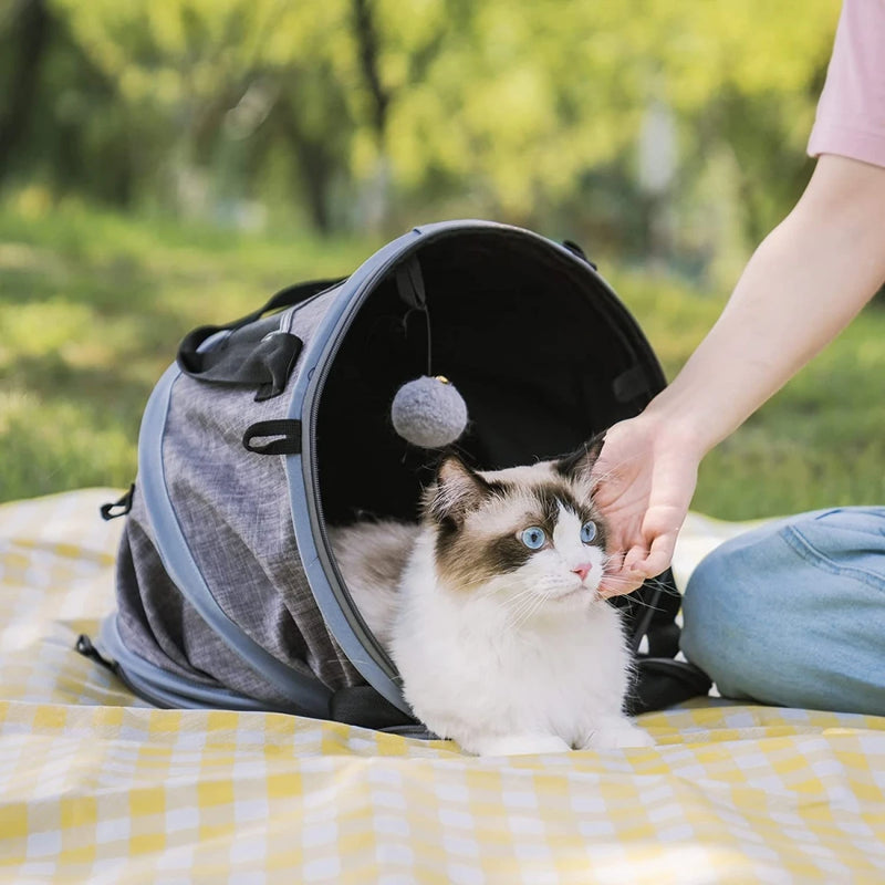 Bolsa de Transporte 4 em 1 Para Pets MEWOOFUN- Versátil Acessório para Donos de Animais de Estimação, Ideal para Viagens e Passeios, Com Design Confortável e Prático