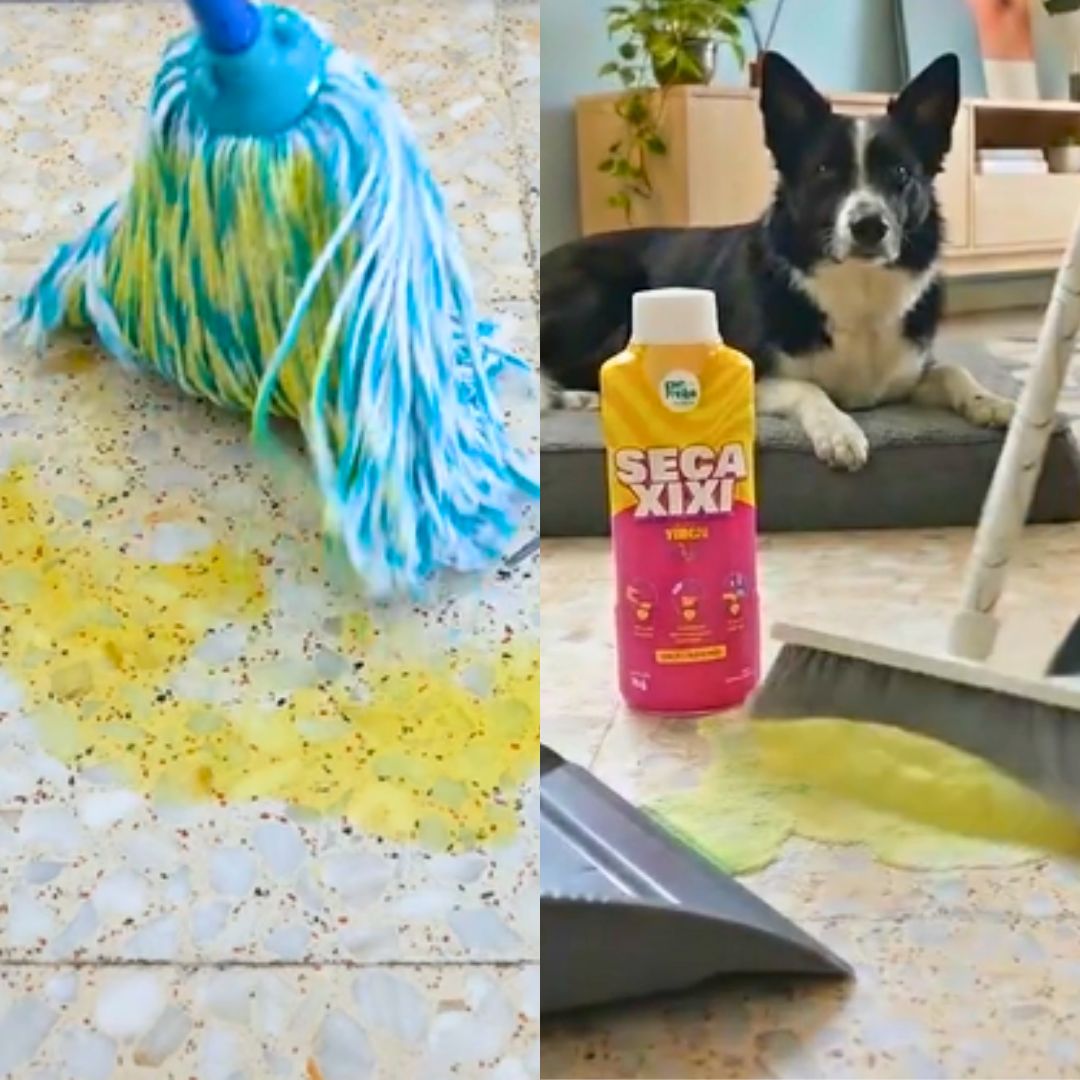 Seca Xixi Perfumado para Cães e Gatos