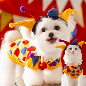 Fantasia de Bobo da Corte Para Cães e Gatos: Diversão Garantida para Cães e Gatos - Confortável e Divertida