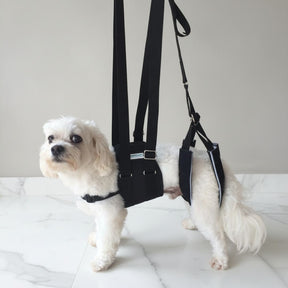 Suporte Auxiliar para Cachorros com Dificuldade de Andar – ConfortWalk™