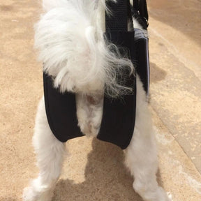 Suporte Auxiliar para Cachorros com Dificuldade de Andar – ConfortWalk™
