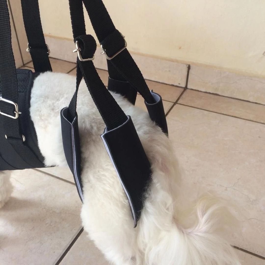 Suporte Auxiliar para Cachorros com Dificuldade de Andar – ConfortWalk™