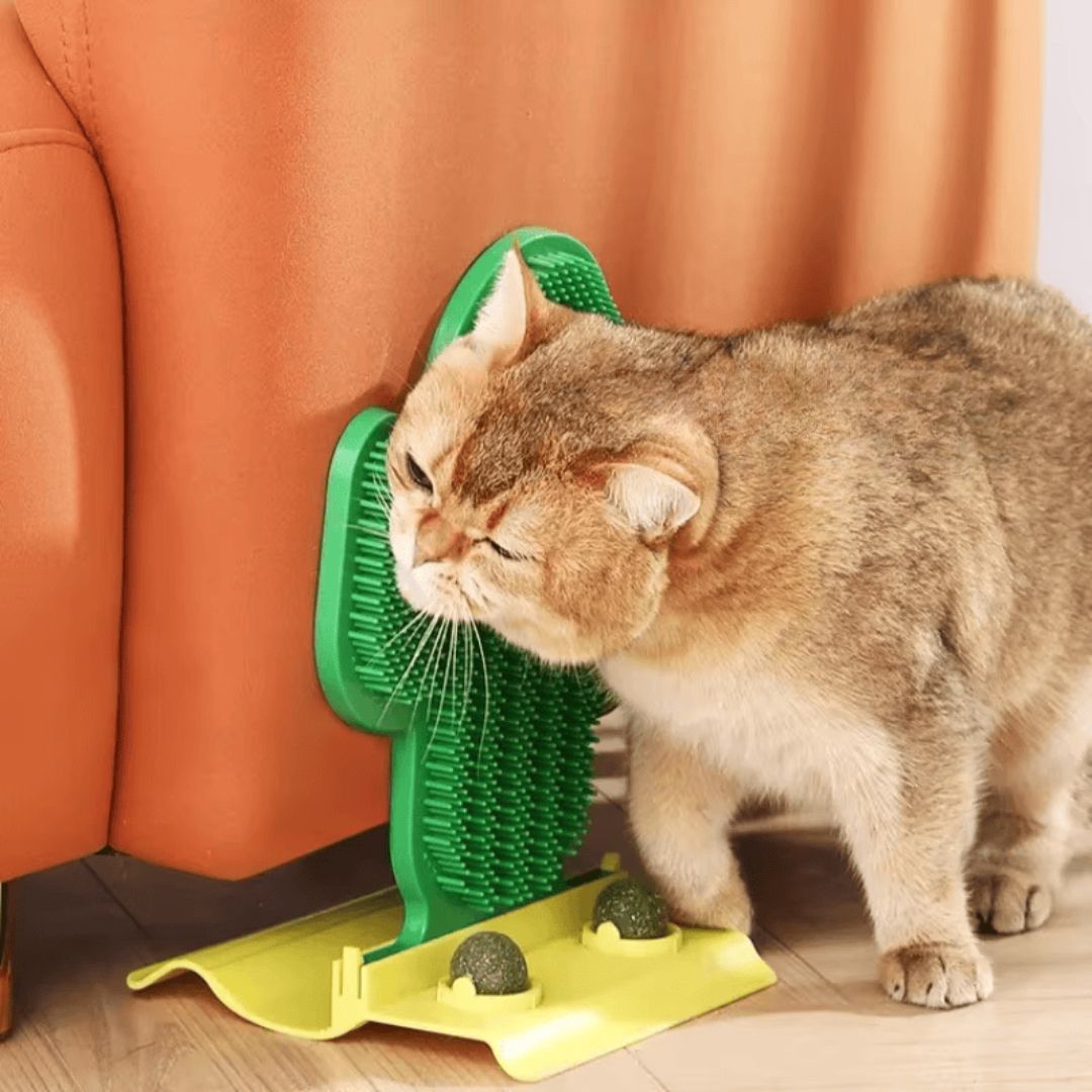 Massageador de Canto Cacto Felino com Catnip: O Brinquedo Perfeito para Gatos que Promove Relaxamento e Diversão