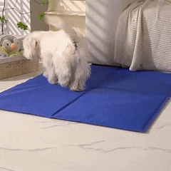 Tapete Gelado: Alívio do Calor para Cães e Gatos — Velú Pet