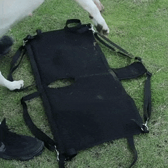 Tipoia de Suporte e Transporte para Cães