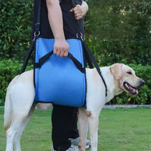 Tipoia de Suporte e Transporte para Cães