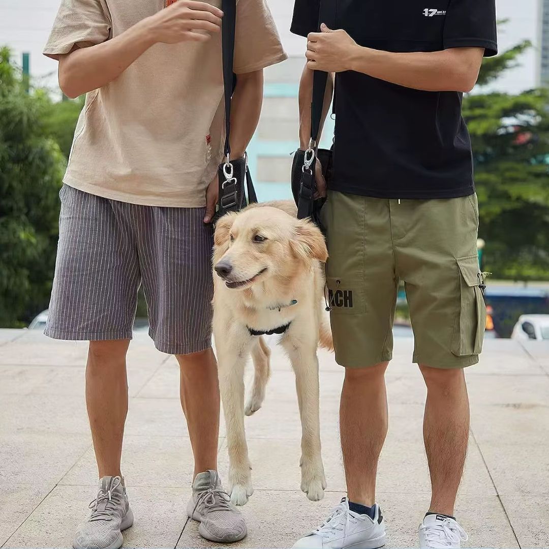 Tipoia de Suporte e Transporte para Cães