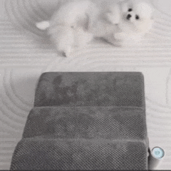 Escada Nuvem para Cachorros e Gatos | Mais Segurança e Conforto