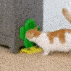Massageador de Canto Cacto Felino Com Catnip