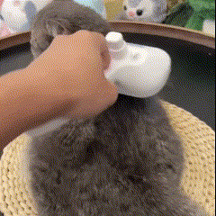 Escova Removedora de Pelos 3 em 1 com Vapor para Cães e Gatos – Pente, Spray e Alisador para Limpeza Profunda com Um Clique