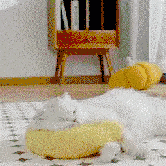 Travesseiro Suporte para Pescoço para Cachorros e Gatos – Alívio e Conforto com Enchimento Ergonômico