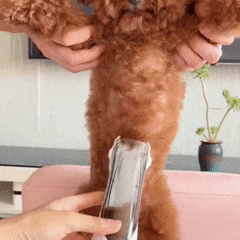 PetTrim Lux™ — Aparador Elétrico Premium com Coletor de Pelos