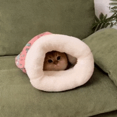 Saquinho de Dormir Confortável para Gatos: Aconchego e Segurança